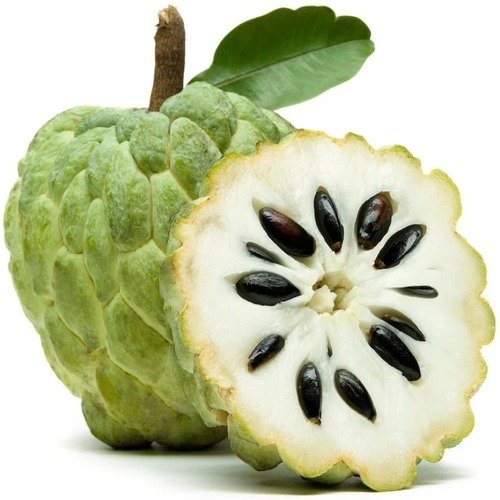 Fresh Custard Apple Manufacturer in Maharashtra